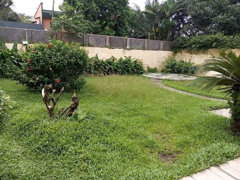 Terrain a vendre à bonadiwoto, douala, Terrain à vendre à Douala Cameroun