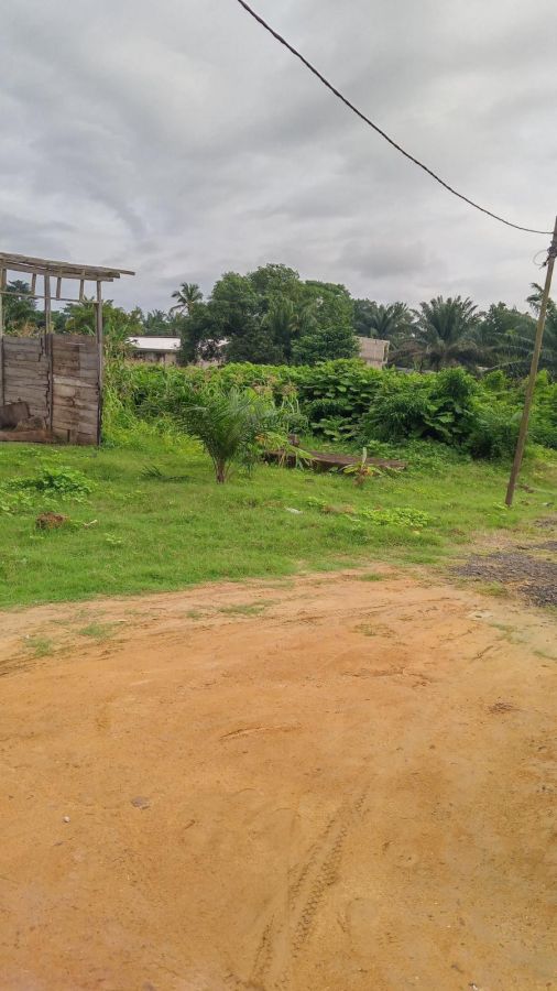 Terrain à vendre, à Douala Cameroun