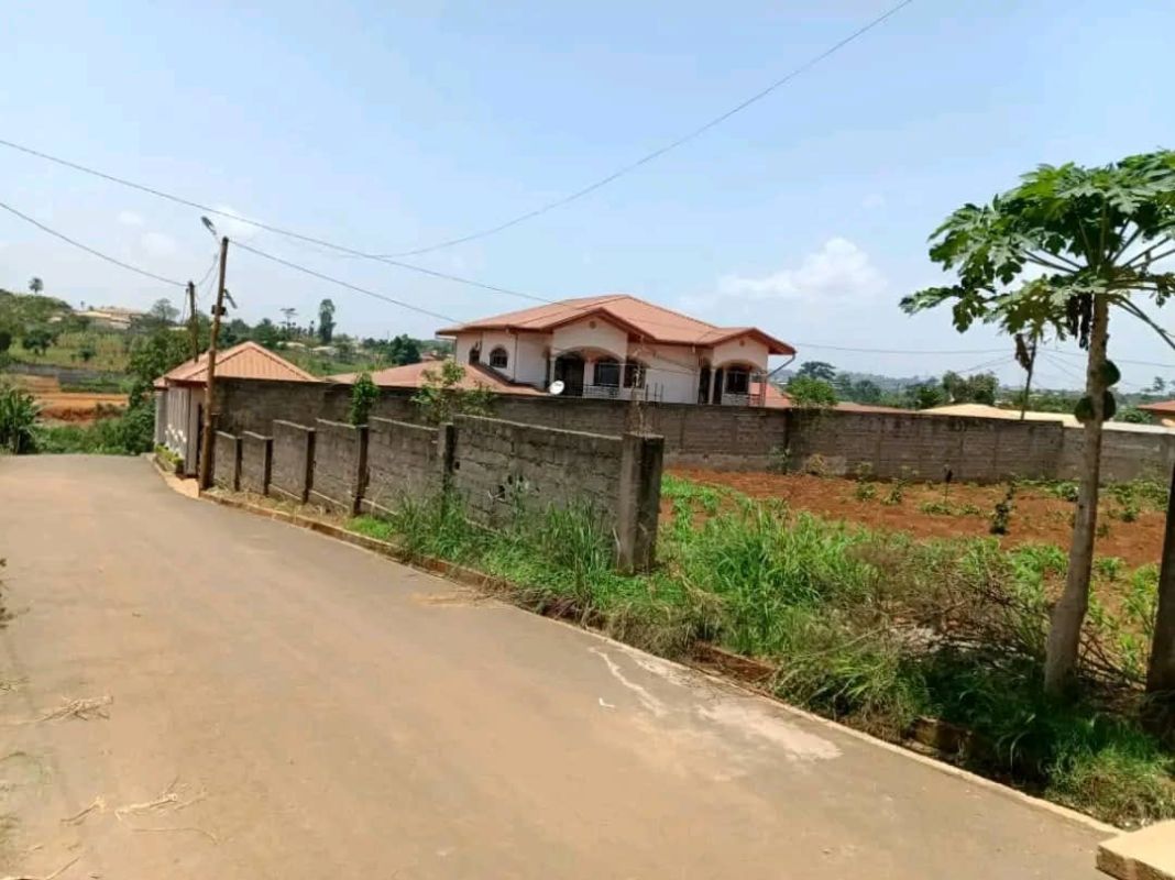 Terrain titré à vendre à yaoundé odza , Terrain à vendre au Cameroun
