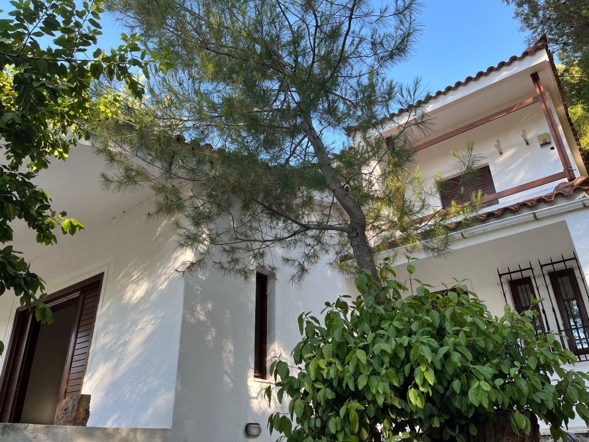 Spacious semidetached in dionissos , House for rent in