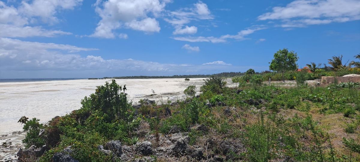 Zanzibar beach land for sale michamvi region 7,604 sqm, Zanzibar