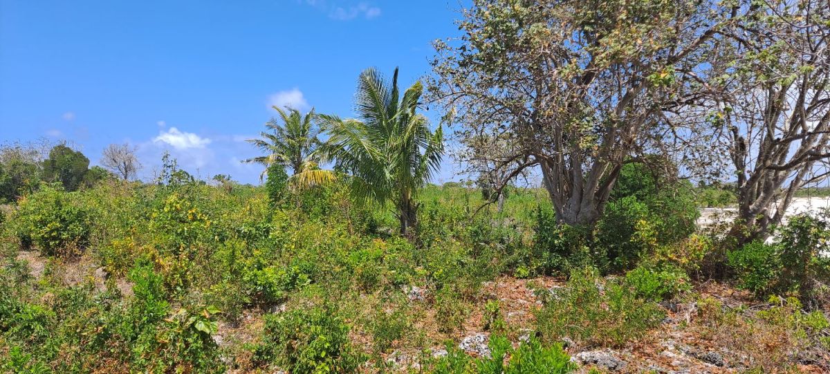 Zanzibar beach land for sale michamvi region 7,604 sqm, Zanzibar
