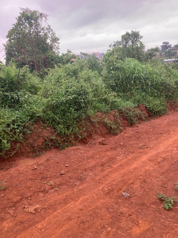Terrain titré à olembe yaoundé , Terrain à vendre à Yaoundé Cameroun