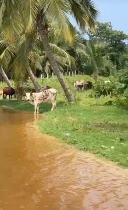 Terrain 2000 M2 en bordure de lagune à vendre à la baie des ...