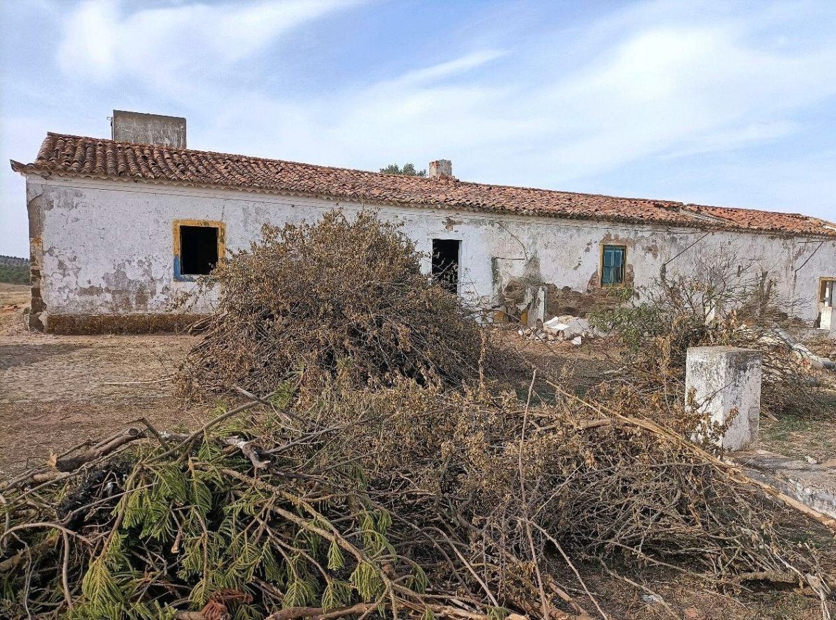 Homestead in alentejo, Land for sale AlmodãŽvar, beja Portugal