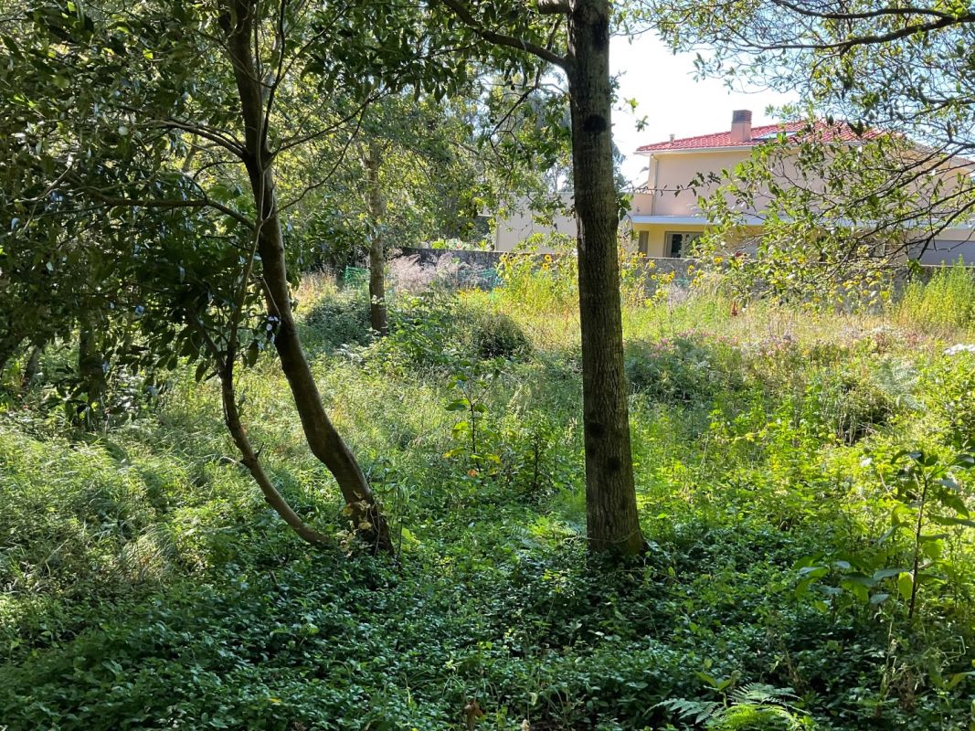 building plot , Land for sale Viana do castelo Portugal