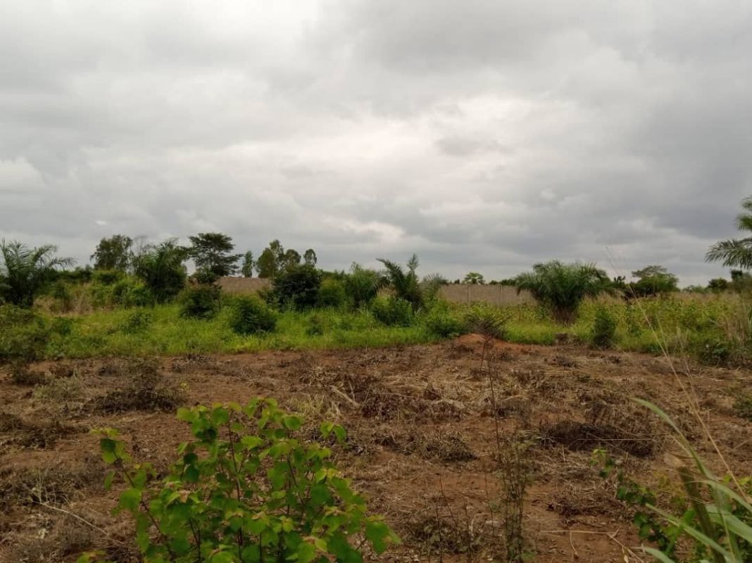 Un terrain de 1 lot œ bien placé à vendre à aképé (lométogo), Terrain à vendre Lomé, maritime