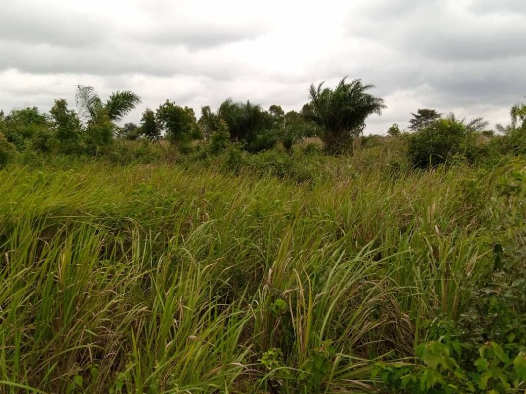 Un terrain de 1 lot œ bien placé à vendre à aképé (lométogo), Terrain à vendre Lomé, maritime