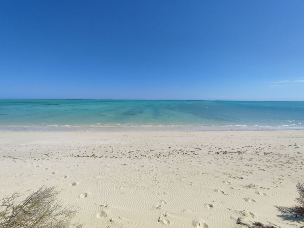 For sale magnificent land by the sea 25m / 50m / 75m or 150m from the