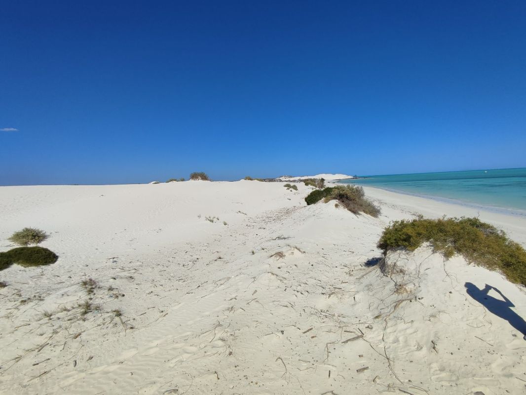 For sale magnificent land by the sea 25m / 50m / 75m or 150m from the