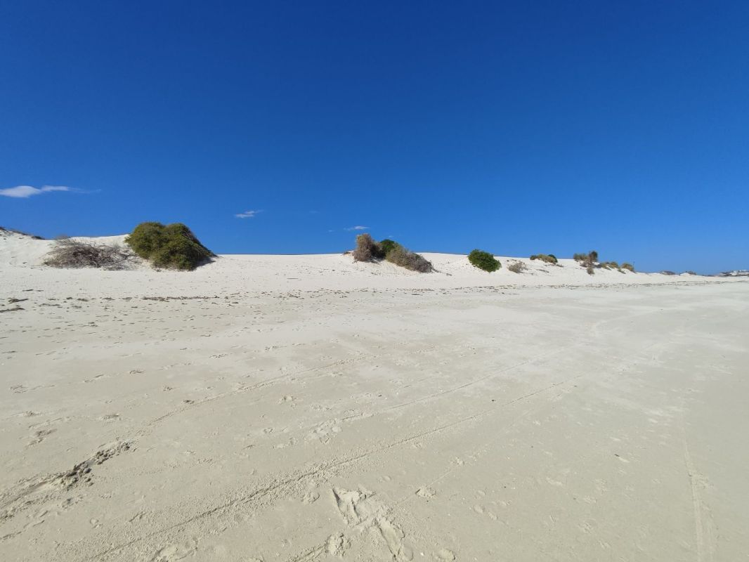 For sale magnificent land by the sea 25m / 50m / 75m or 150m from the