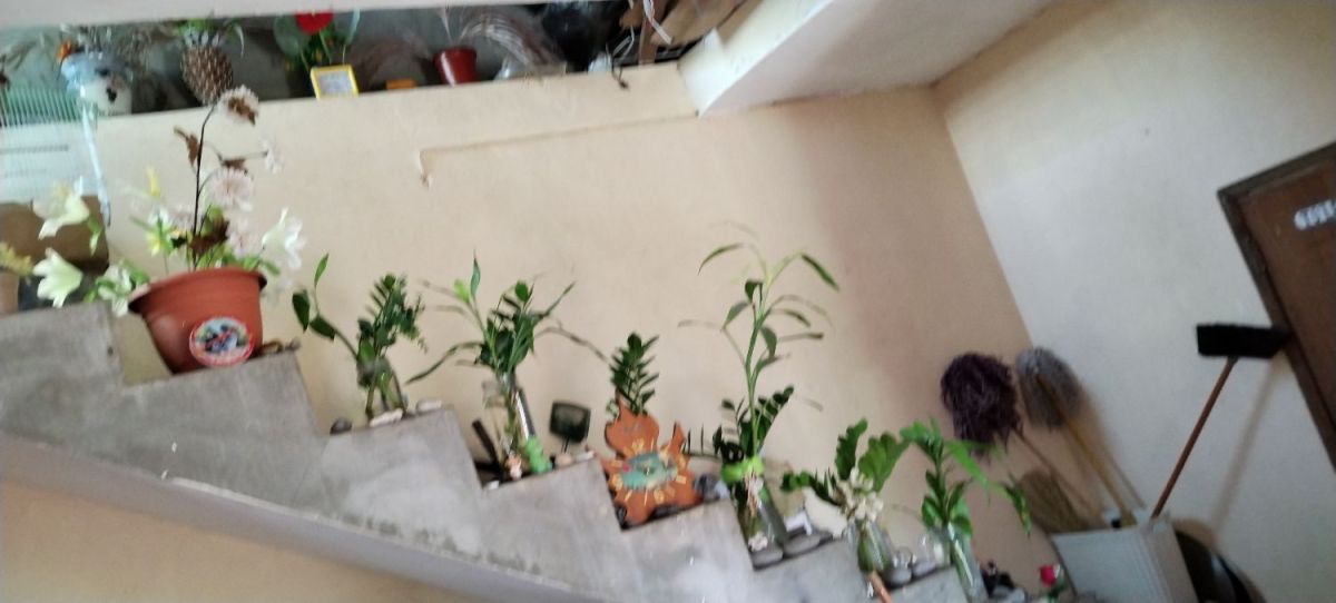 House for sale, Mauritius