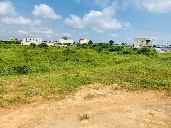 à vendre terrain 2 hectares ( 20000 m2 ) avec acd abidjan bingerville