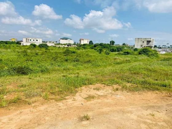À vendre terrain 2 hectares ( 20000 M2 ) avec ACD Abidjan ...