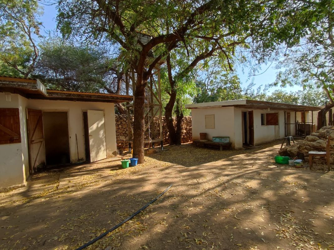 For sale beautiful wooded property with f3 house, deposits, studios