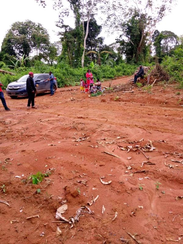 Terrain titré à yaoundé soa bon prix, Terrain à vendre au Cameroun