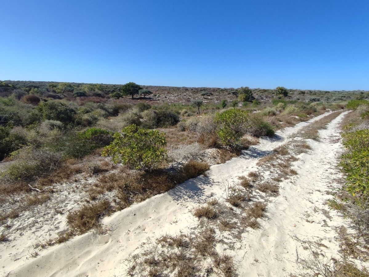 For sale land 24,568m2 turquoise blue lagoon in salary tulear