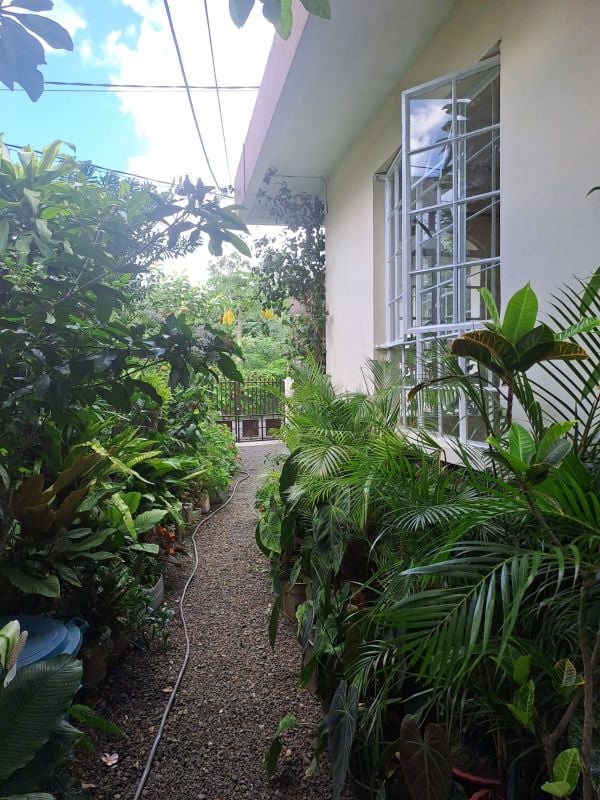 House for rent in quatre bornes, mauritius sunassee lane, celicourt