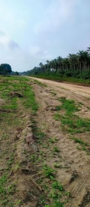 Terrain plat, à Yamoussoukro, 500 M2 approuvé 
