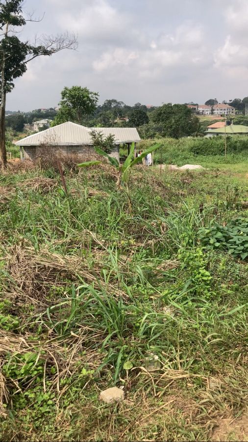 Land titled and subdivided in zalom before mfou, Land for sale in