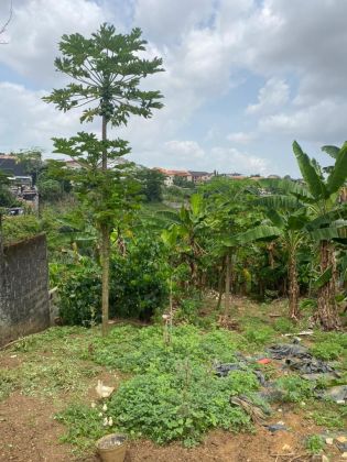 Terrain à vendre à attingué avec ACD 