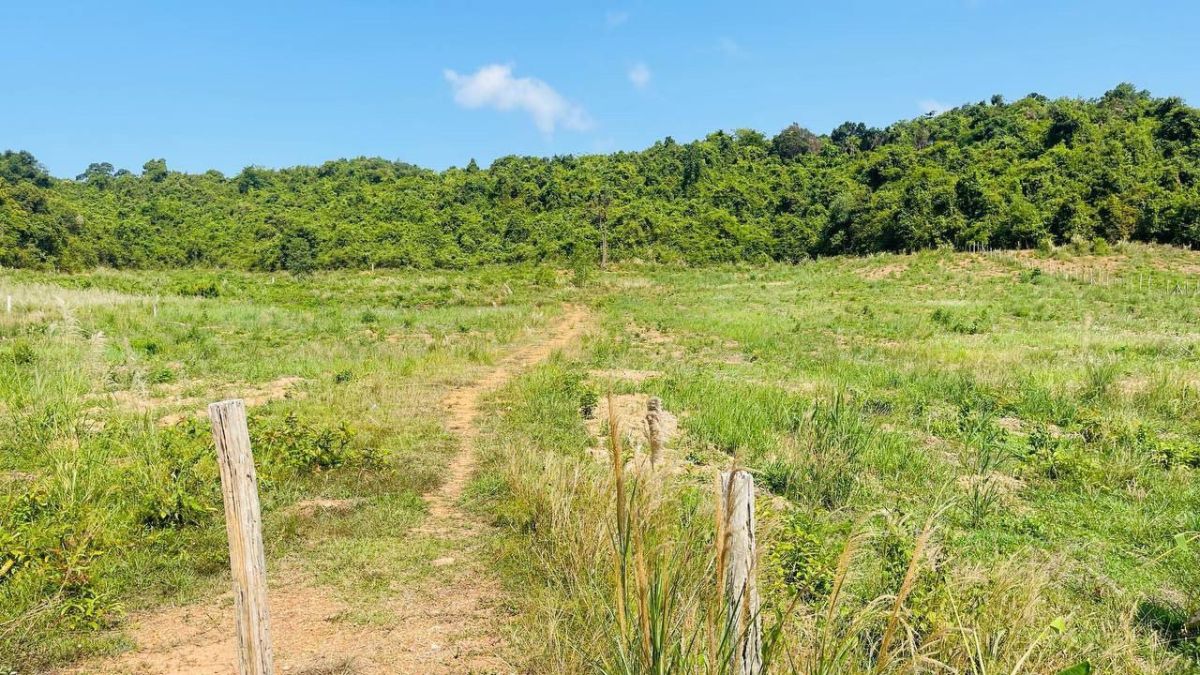 Land for sale, Cambodia