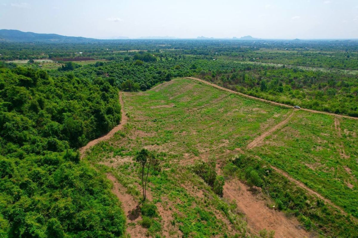 Land for sale, Cambodia