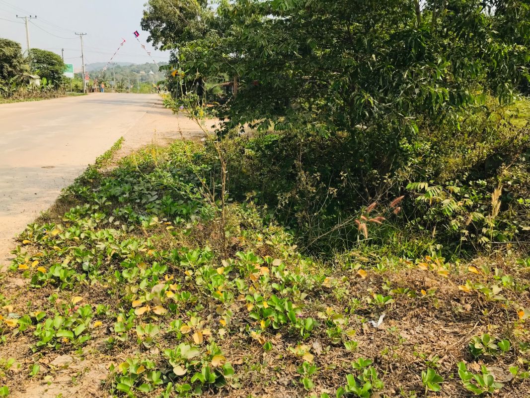 Lot for sale , Land for sale Cambodia