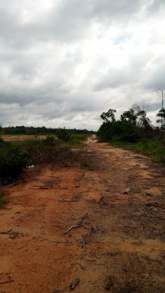 Terrain a vendre dans le nkam 