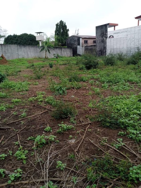 Terrain 1342 m2 avec acd à vendre , Terrain à vendre à Abidjan Côte d