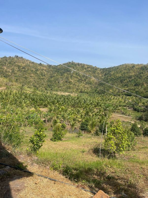 Land for sale, Cambodia