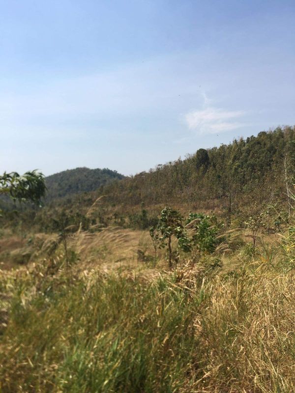 Land for sale, Cambodia
