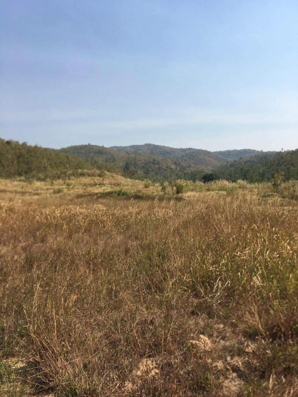 Land for sale, Cambodia