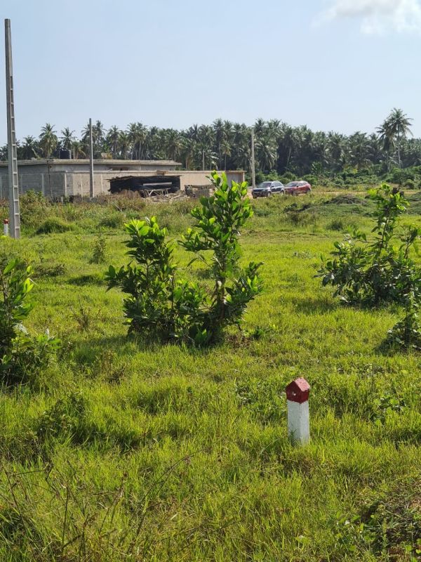Land at the corner of grand bassam, Land for sale Ivory Coast