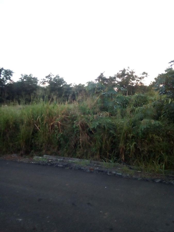 Freehold land for sale balaclava, in Mauritius