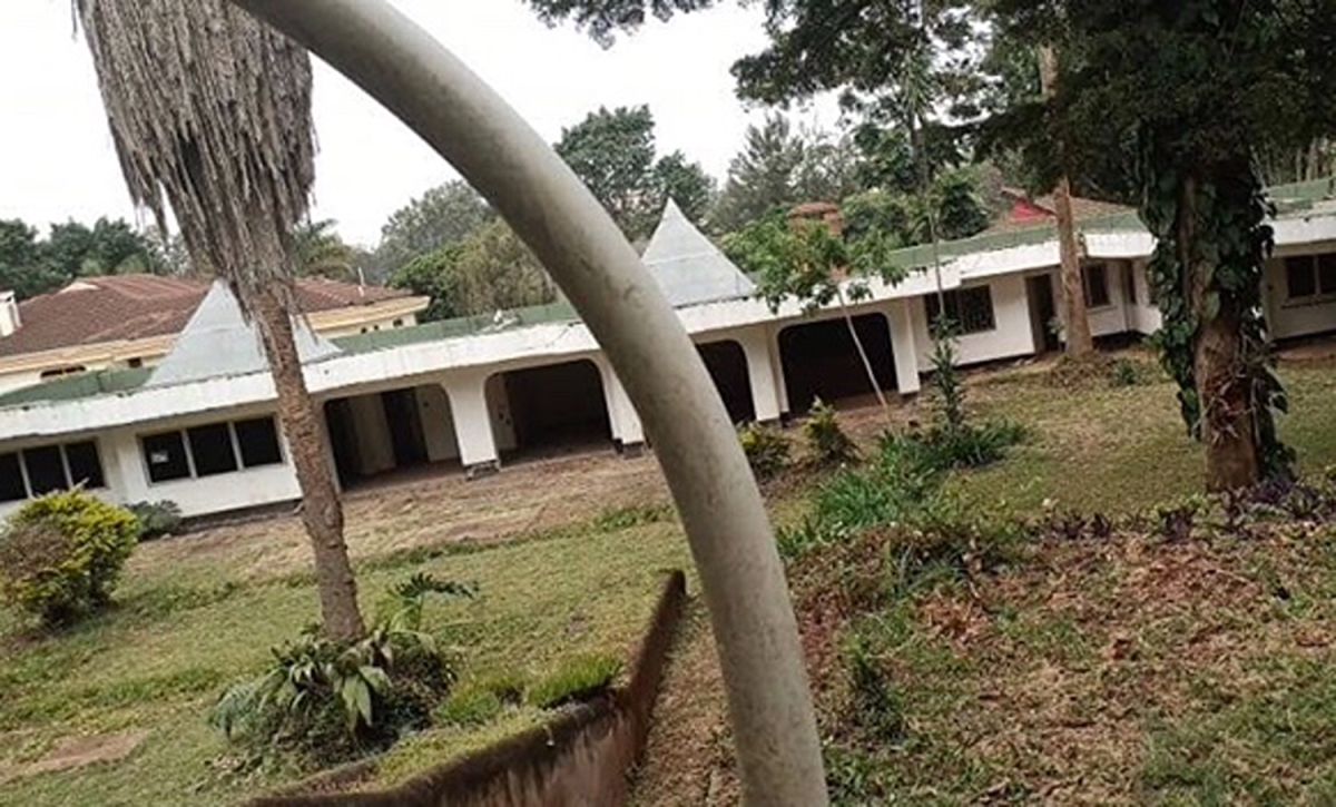 1 acre for sale in lavington jacaranda avenue , Land for sale in