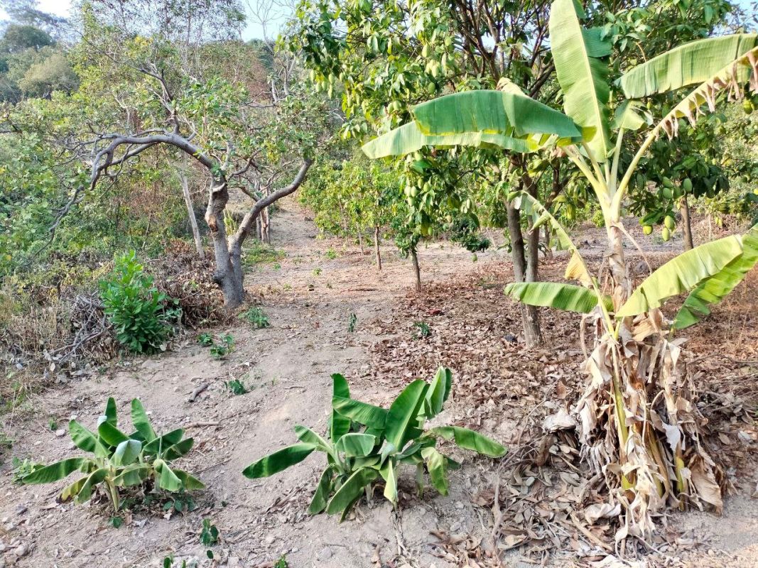 Lot for sale , Land for sale Cambodia