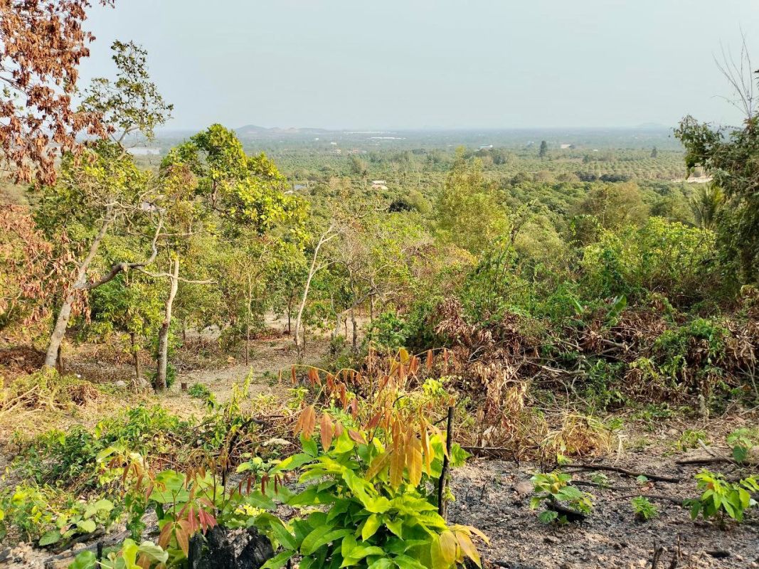 Lot for sale , Land for sale Cambodia