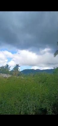 Parcelles de terrain Mitsamiouli 