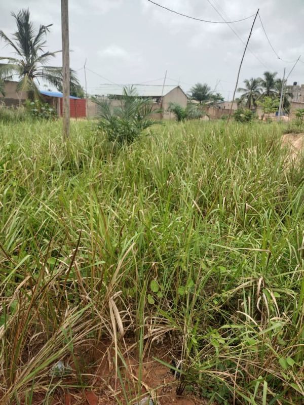 Bare land in adidogomé , Land for sale Lomé, maritime Togo