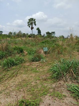 PLUSIEURS TERRAINS EN VENTE A YAMOUSSOUKRO