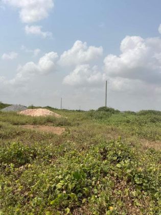 TERRAINS EN VENTE A SONGON 