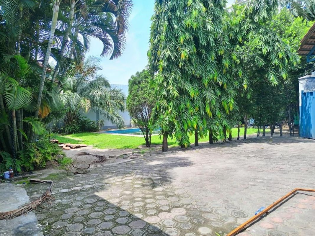 Villa with garden and swimming pool for rent in kinshasagombe, House