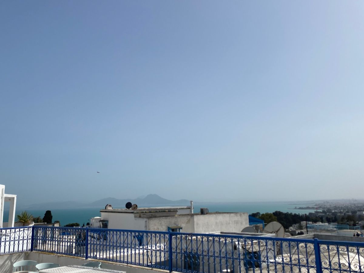 A charming triplex with beautiful terrace overlooking carthage and the