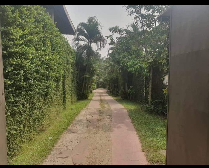 Sale of a magnificent 14room private residence with heavenly greenery