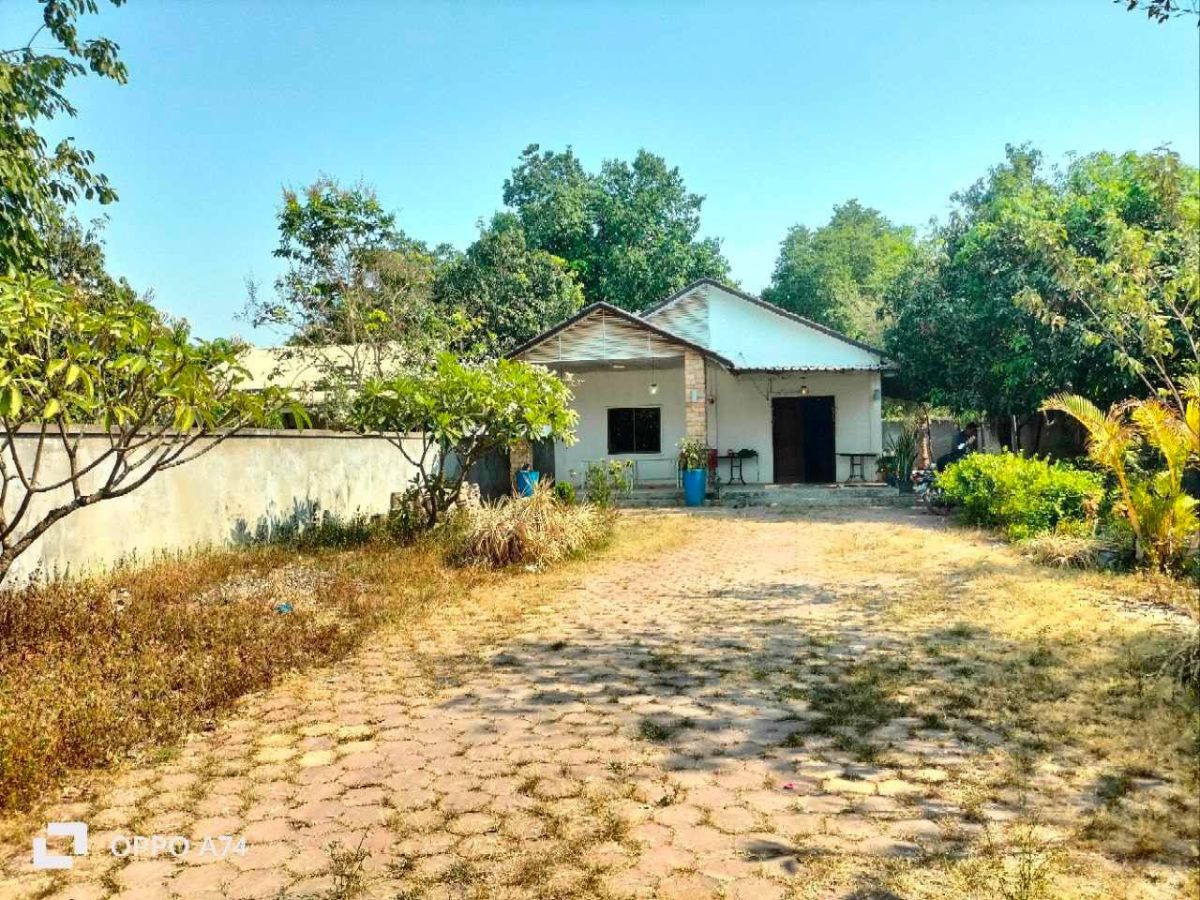 A lovely house for lease, House for rent in Siem Reap Cambodia