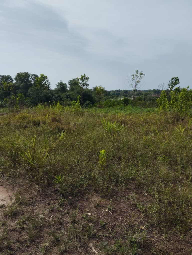 VENTE DE TERRAINS A AZAGUIE 