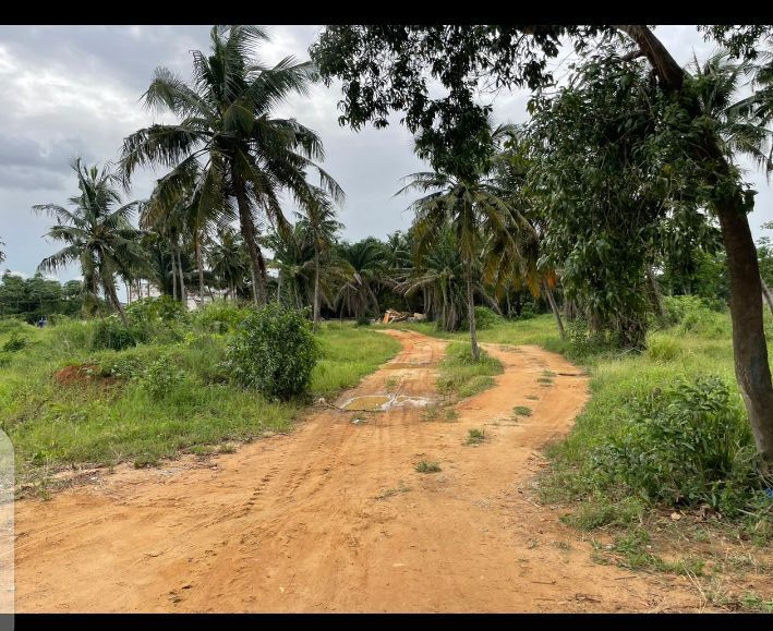 Sale of a 2 hectare waterfront plot of land in the rivera m'pouto, Land