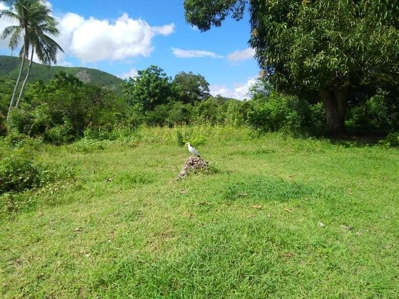 Lot for sale , Land for sale Haiti
