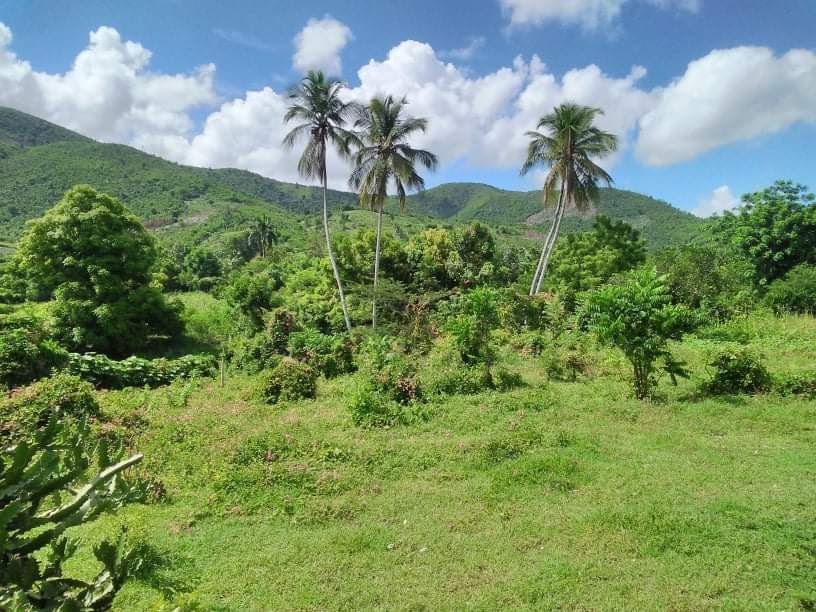 Lot for sale , Land for sale Haiti